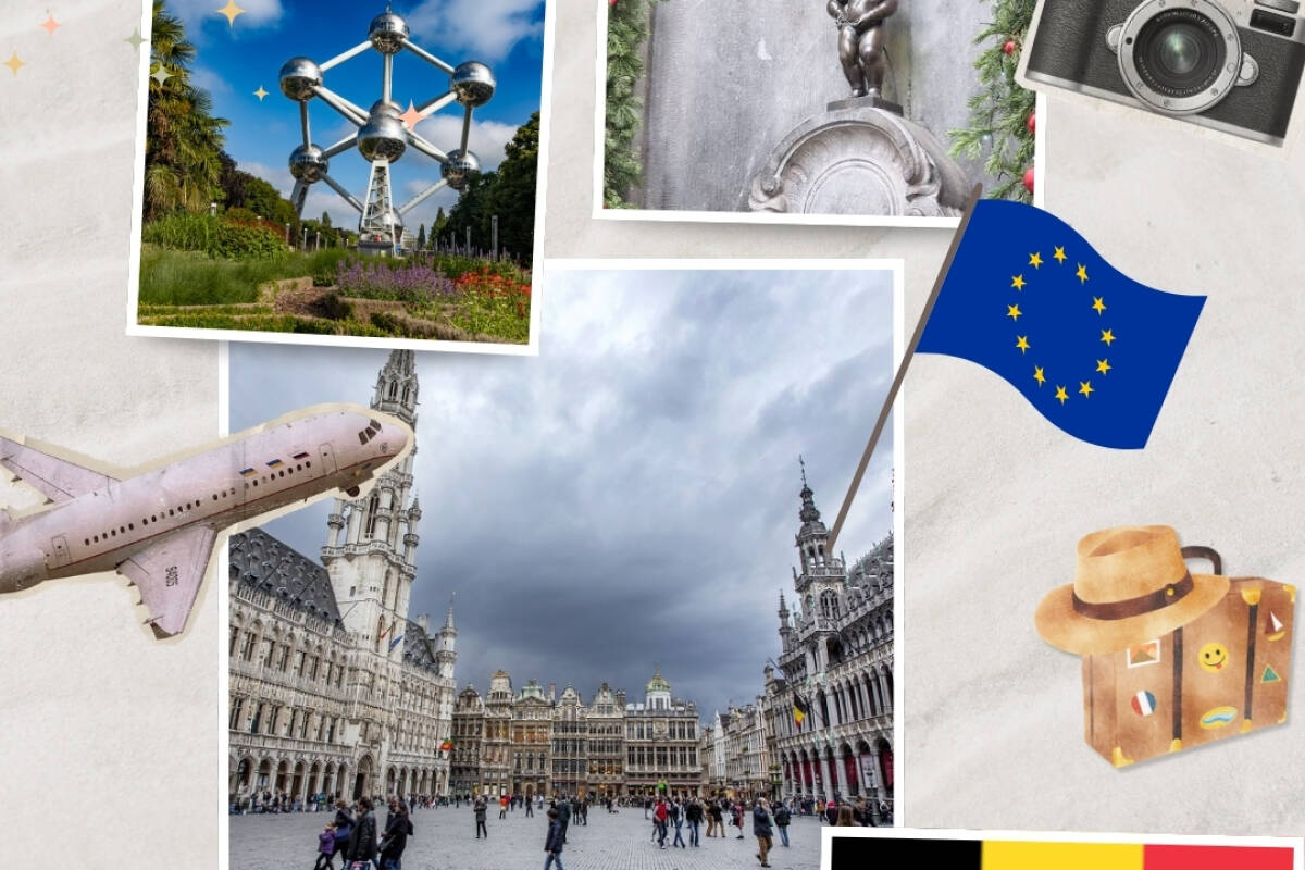 Brusselreis