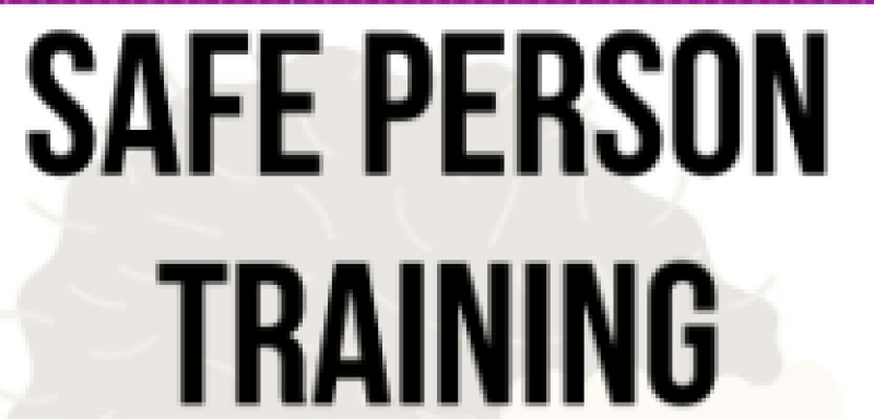 Safe Person Training Tartu